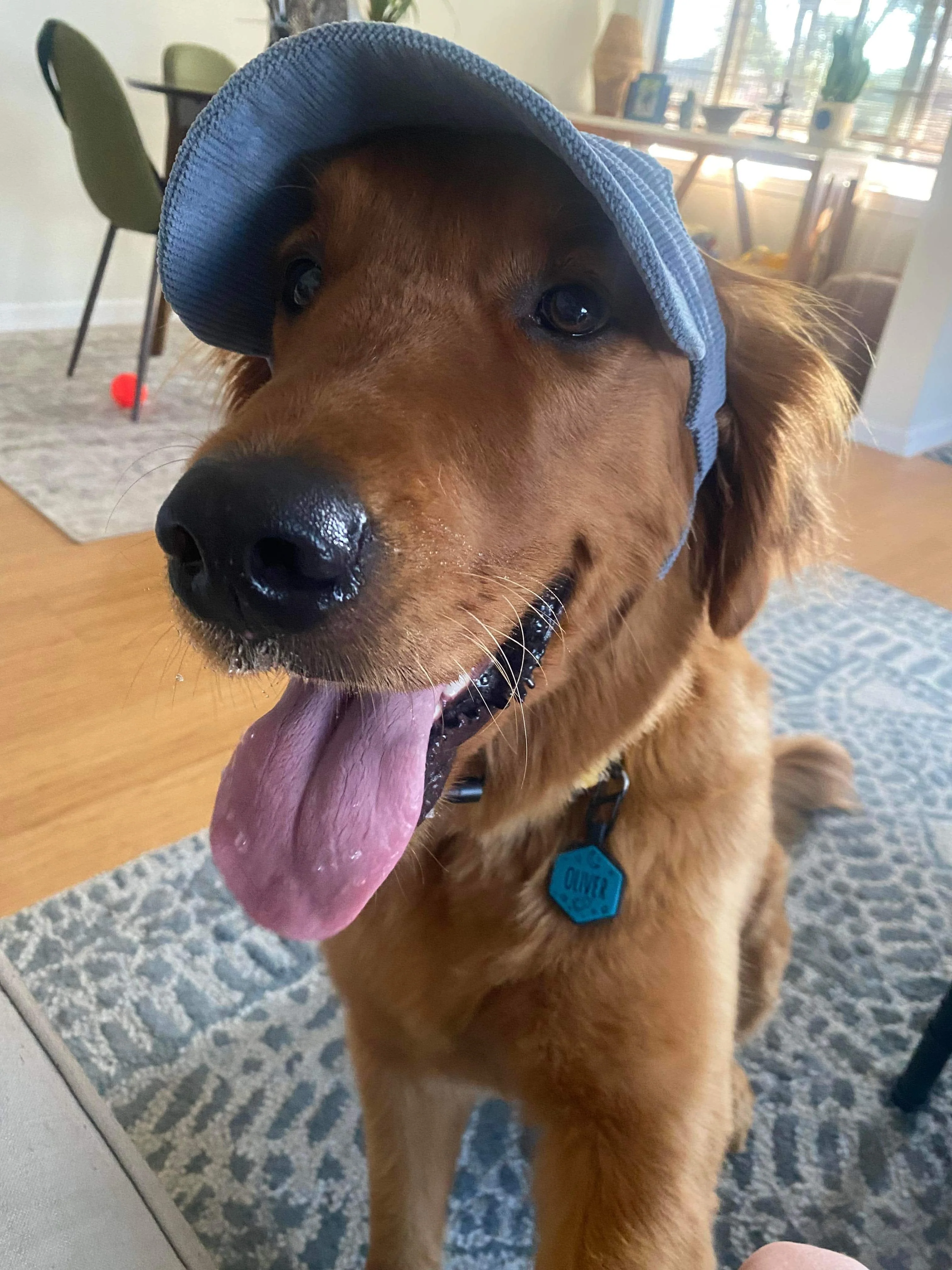 Corduroy Dog Baseball Hat | Comfortable & Customizable - Image 7