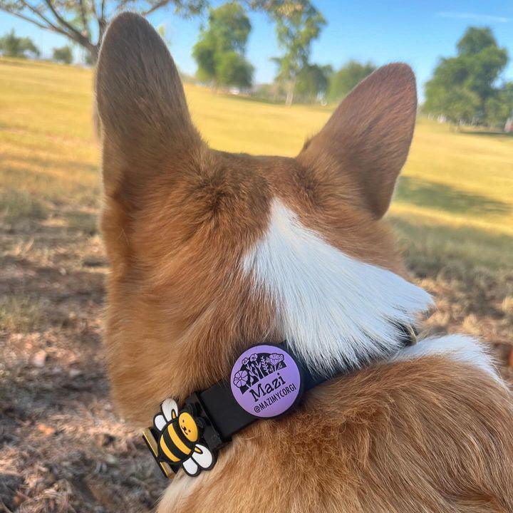 Custom Artwork | AirTag Holder Slide-On Pet ID Tag - Image 10